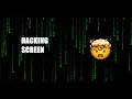 Matrix Raining Hacking Screen No Talk