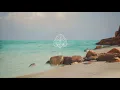 🌿Memoir Collections III - Coastal Wander - ambient & lofi