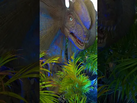 Dinosaur ππππ¦ #dinosaur #dinosaurs #dino