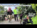 Download Lagu 🇮🇩 Tkw Taiwan 🇹🇼 Mumpung Gratisan, Makan Sepuasnya // Bisa Hemat Uang Jajan #ceritatkwtaiwan