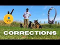 Fixing Unwanted Behaviours with an Ecollar