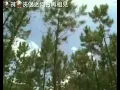 何日再相見