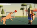 Challenge 2 Play Fetch