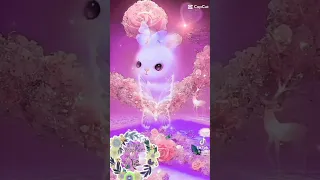 صلوا علي نور ربنا الهادي البشير صلي الله عليه وسلم تسليما كثيرا 