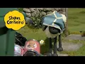 Download Lagu 🐑Shaun, o Carneiro [Shaun the Sheep] Ovelhas nas lixeiras! 🐑 Hora Especial🐑| Cartoons Para Crianças