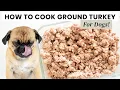 How to Cook Ground Turkey for Dogs Simple Healthy Vet-Safe