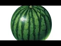 Lagu Big melons（subliminal!)(read the description!!)