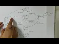 Process States in OS and Process State Diagram