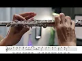 Carpenters - Close To You - Flute Cover + sheet music
