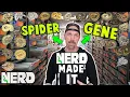 BEST ARGUMENT SPIDER BALL PYTHON GENE MISINFORMATION