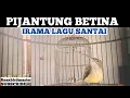 Download Lagu SUARA BURUNG PIJANTUNG PISANG BETINA  #pijantungpisanggacor #pijantung #pijantungpisang