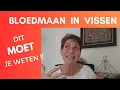 Download Lagu Bloedmaan Transformatie: Dit MOET je Weten!!