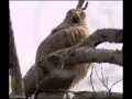 Say What reaction gif