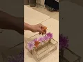 Download Lagu unique centerpiece idea #flowers #ideas #diy #flowerarrangement #shorts #youtubeshorts