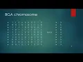 04 - Genetic Algorithm Problem Definition
