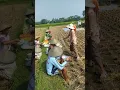 Download Lagu STORY WA POLOSAN, SEGAR SUASANA DI SAWAH #2 #story #pemandangan #sawah