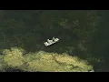 shows deadly alligator attack scene