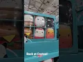 SQUISHMALLOWS BACK AT COSTCO