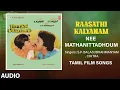 Nee Mathanittadhdum Audio Song | Tamil Movie Raasathi Kalyanam | Ilavarasi | M.S. Viswanathan