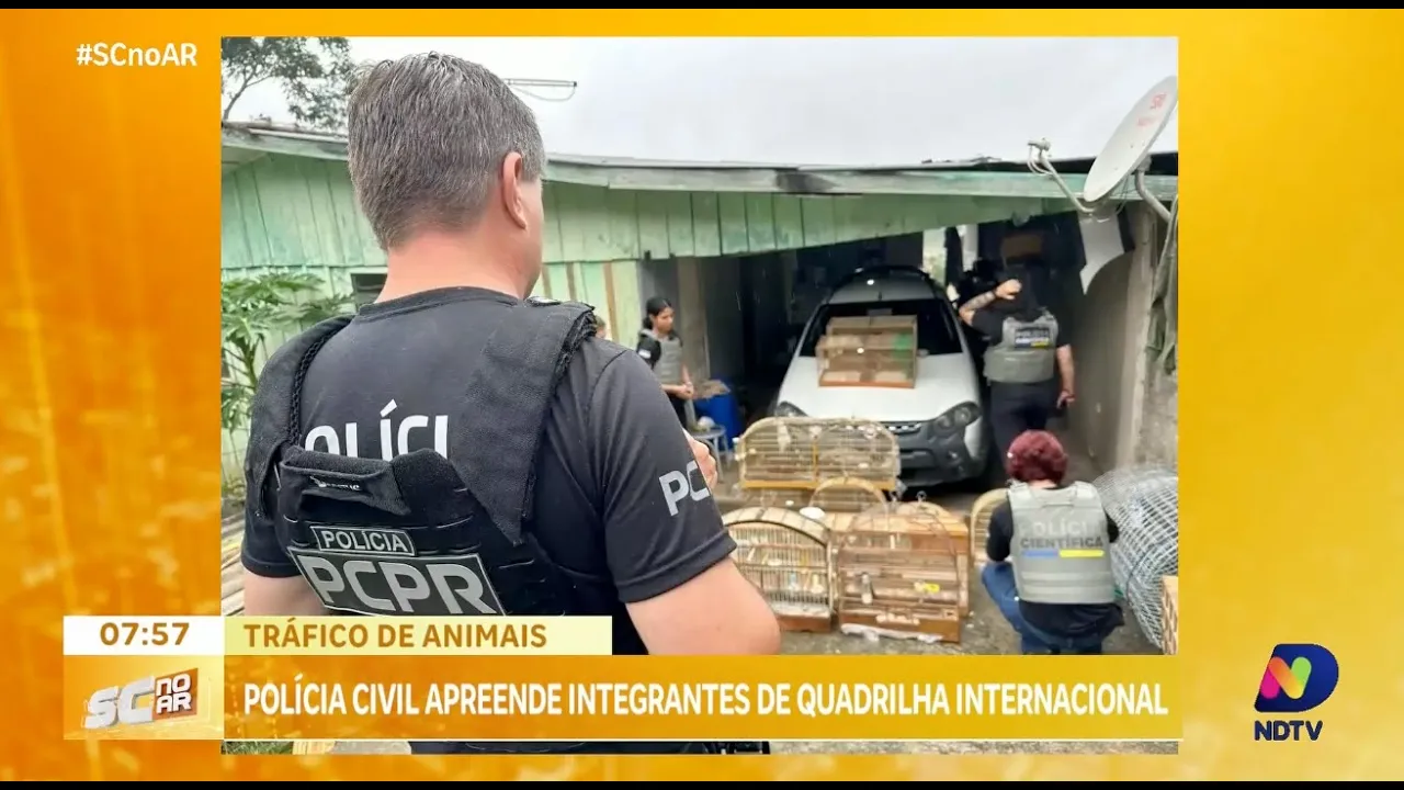 Polícia Civil prende membros de quadrilha internacional de tráfico de animais
