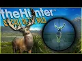 I Shot A Great One Fallow Deer IN THE BUTT Call of the wild