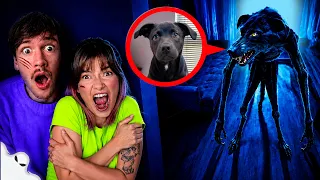 DESCOBRI QUE MINHA CACHORRINHA É UMA SKINWALKER! (fiquei com medo)