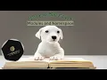 Ep-07 How to create Modules in TypeScript Namespace TypeScript