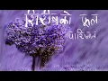 Download Lagu Siris ko phool by Parijat The blue Mimosa Nepali Audiobook   Full Audiobook