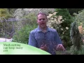 Keeping Chipmunks Out of Your Garden