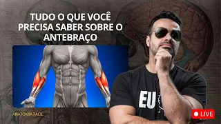 AO VIVO: Tudo O Que Você Precisa Saber Sobre O Antebraço
