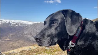 Olive and Mabel - memories are made of this.