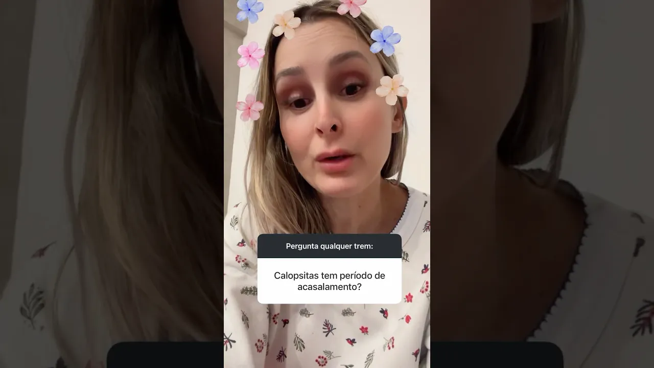 13 de agosto de 2025