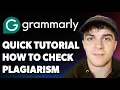 How to Check Plagiarism in Grammarly Quick Tutorial 2025 Full Guide