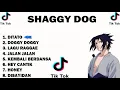 Download Lagu KUMPULAN LAGU Shaggy Dog TERPOPULER 2021 || AWAL TAHUN 2022
