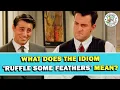 Idiom Ruffle Some Feathers Meaning