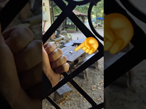 Grab & Release Rope System