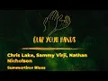 Chris Lake, Sammy Virji, Nathan Nicholson - Summertime Blues