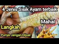 Download Lagu 4 Jenis #sisik Ayam Terbaik \u0026 Langkah