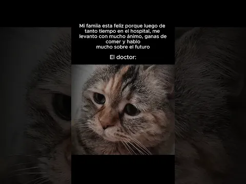 El MOMENTO de la LUCIDEZ TERMINAL | void memes #terror #voidmemes #historias