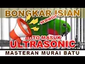Download Lagu SERINDIT ULTRASONIC BONGKAR ISIAN - MASTERAN MURAI BATU #serindit  #bird