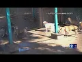 More than 100 dogs only 40 kennels Maui Humane Society needs your help