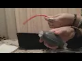 PENIS ENLARGEMENT bathmate