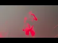 Tove Lo — I’m your girl right? (Live at The Pinnacle 09.15.26)