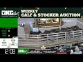 OKC West Livestock Market 7 000 Head High-Volume Feeder Auction April 1 2026