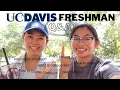 tips for UC DAVIS freshman what to expect etc