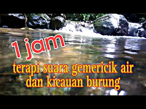 Download MP3 1 jam suara gemericik air dan kicauan burung, terapi burung stres macet bunyi