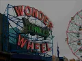 Dan Zanes- Wonder Wheel