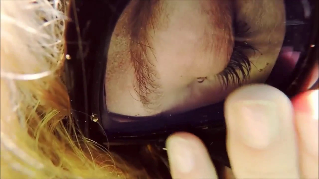 RUSH - "ANIMATE" (Subtitulada en español)