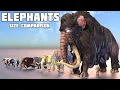 Download Lagu ELEPHANT And MAMMOTH Size Comparison
