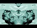 Download Lagu Polyphia - \